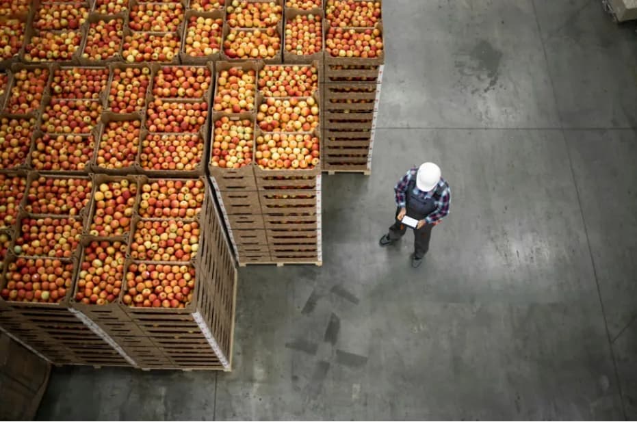 A worker with a tablet among crates of apples in a warehouse, from above